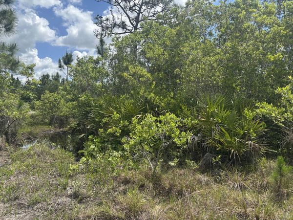 0 Holopaw Groves Road, St. Cloud, FL 34772