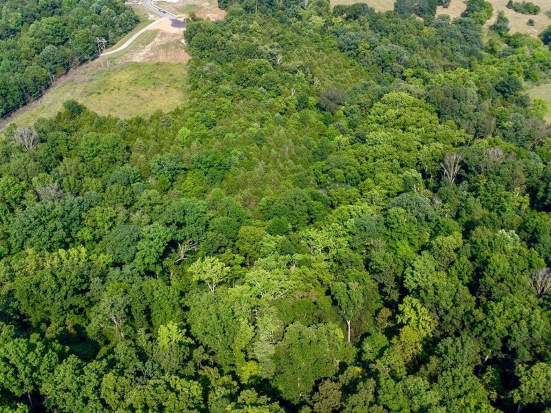 605 Claiborne Drive, Dry Ridge, KY 41035 Photo 2