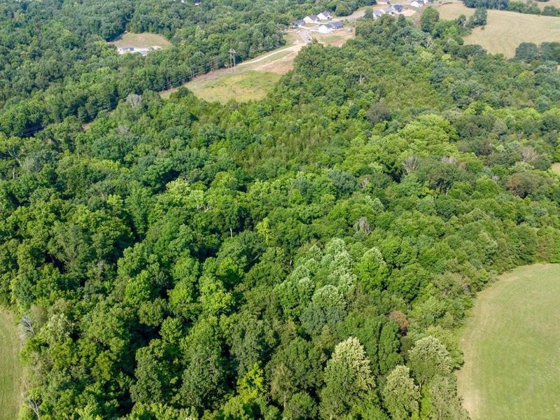 605 Claiborne Drive, Dry Ridge, KY 41035 Photo 3