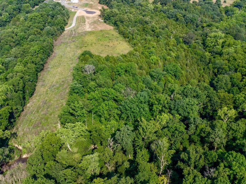 605 Claiborne Drive, Dry Ridge, KY 41035 Photo 6