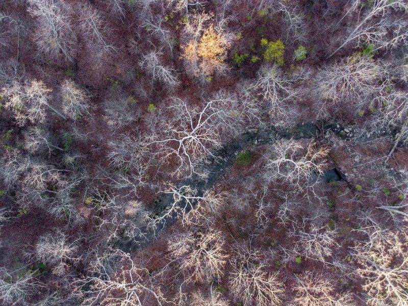 605 Claiborne Drive, Dry Ridge, KY 41035 Photo 8