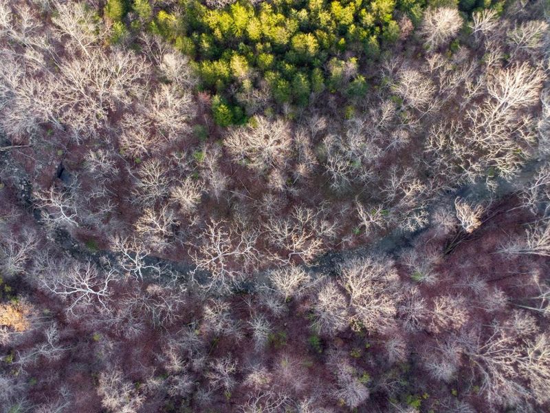 605 Claiborne Drive, Dry Ridge, KY 41035 Photo 9