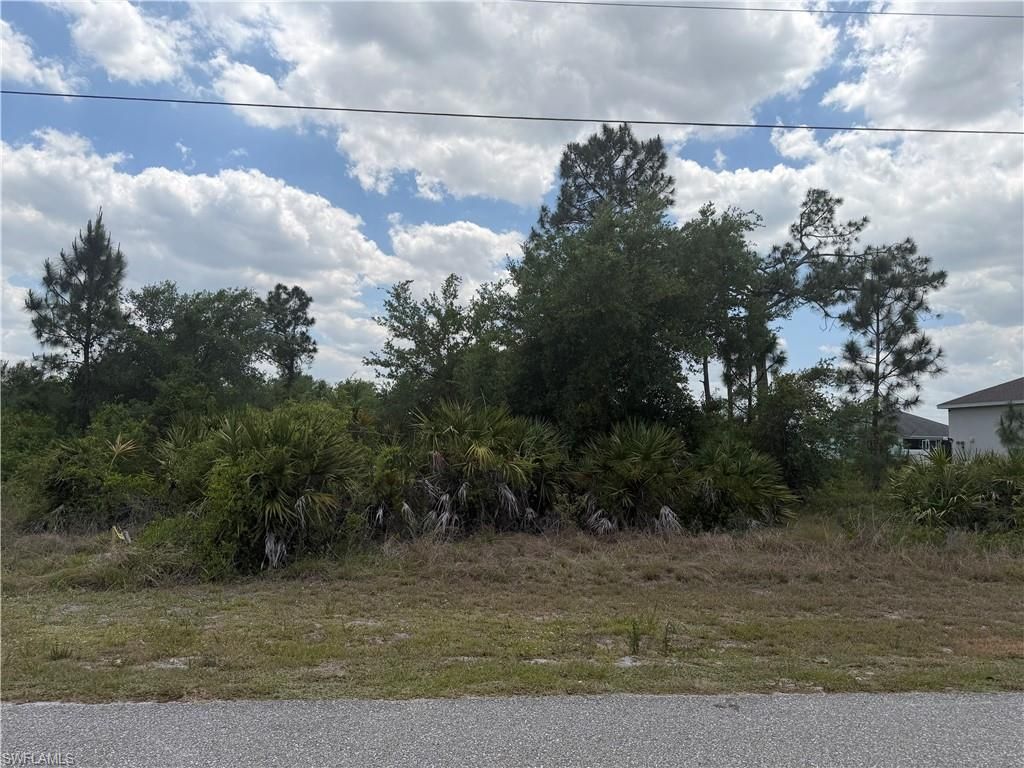 1249 Galileo St E, Lehigh Acres, FL 33974 Photo