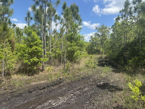 0 Holopaw Groves Road, St. Cloud, FL 34772