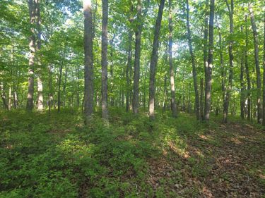 0 Nighthawk Road, Lynchburg, VA 24504