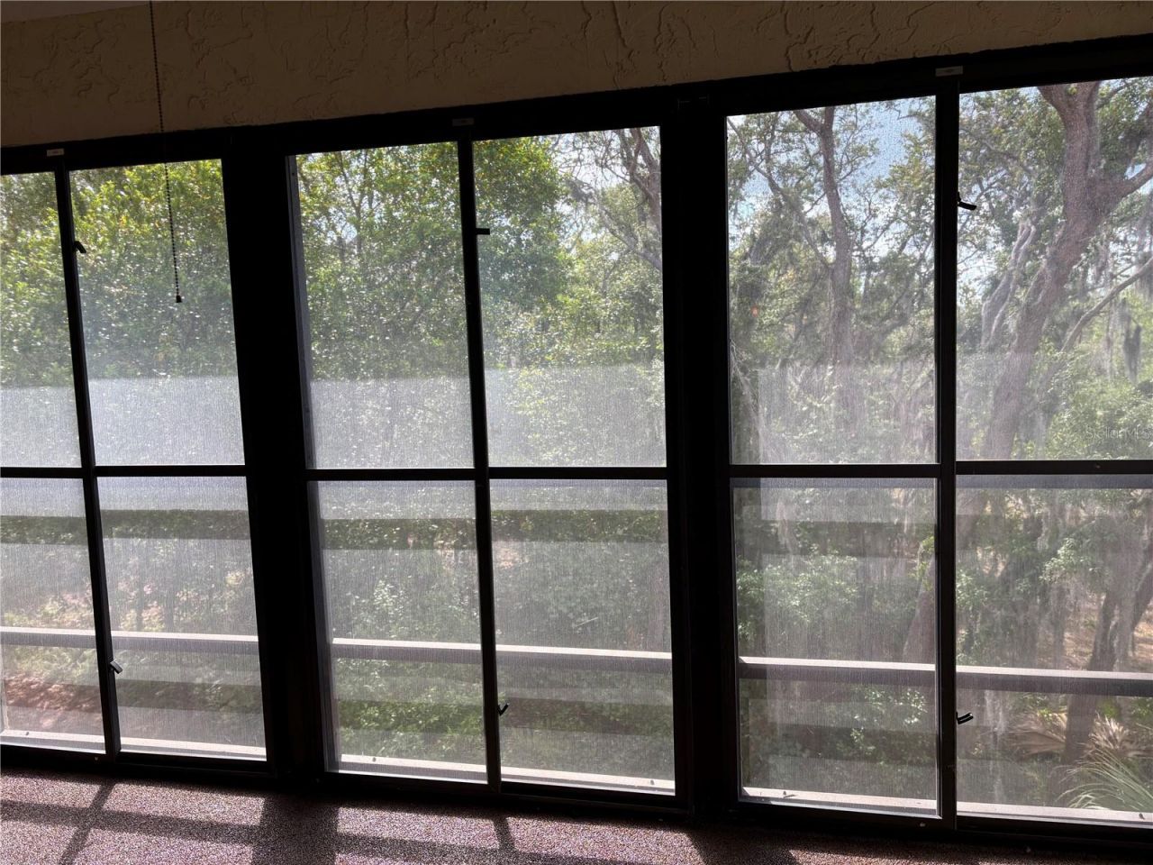 7650 Forest Trail, Unit 9, Port Richey, FL 34668 Photo