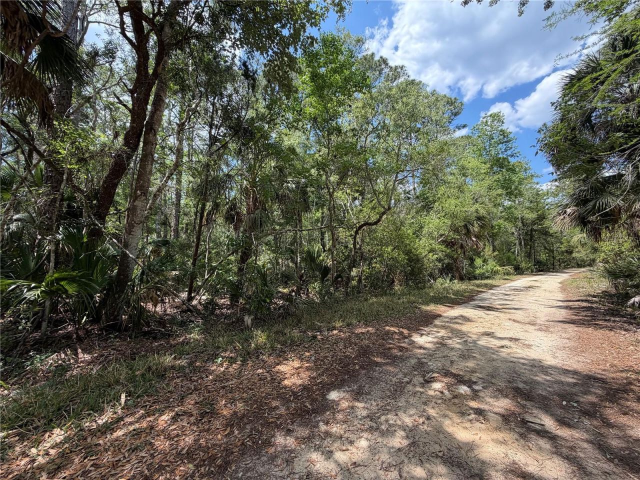 Tract 99 SW Cr-347 , Chiefland, FL 32644 Photo