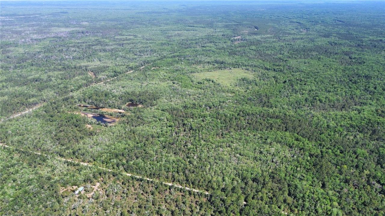 Tract 99 SW Cr-347 , Chiefland, FL 32644 Photo