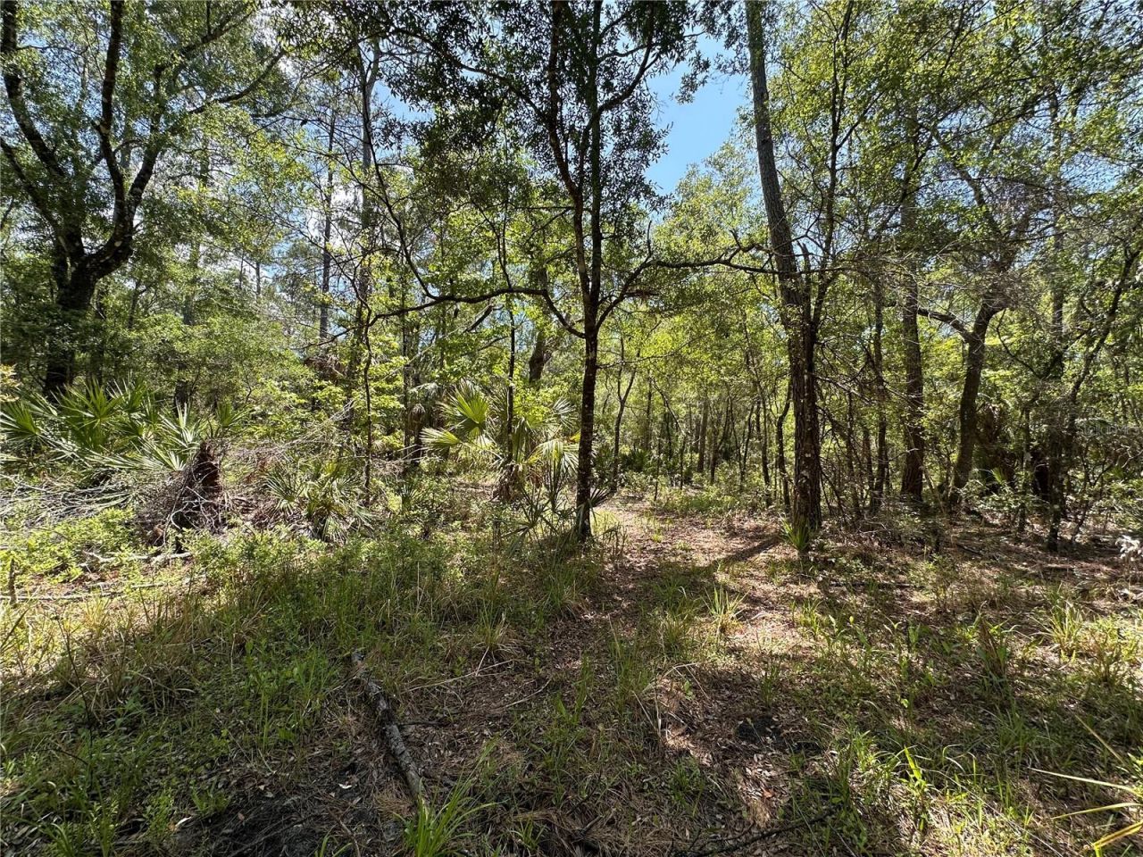 Tract 99 SW Cr-347 , Chiefland, FL 32644 Photo