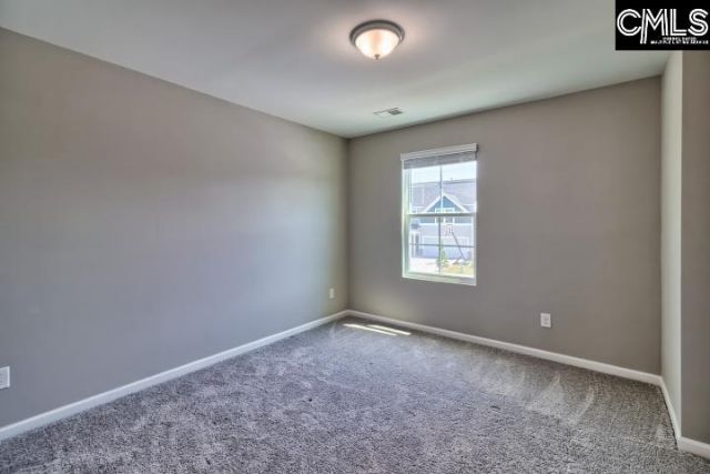 234 Ridley Hill Lane  Photo 35