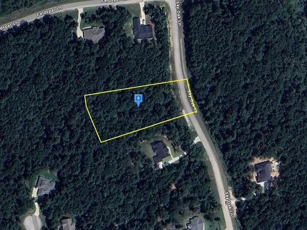 265 Sky Oak Lane, Huntsville, TX 77340