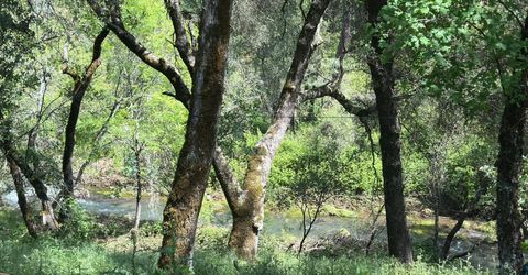 17689 Brewer Rd, Alta, CA 95949 Photo