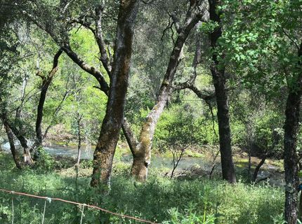 17689 Brewer Rd, Alta, CA 95949 Photo