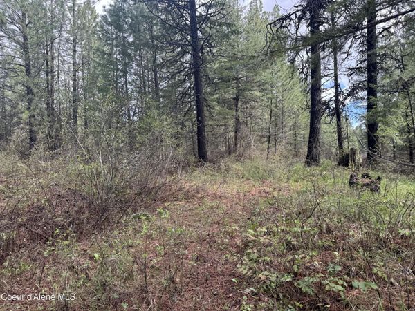 NKA Old Railroad Grade, Plummer, ID 83851