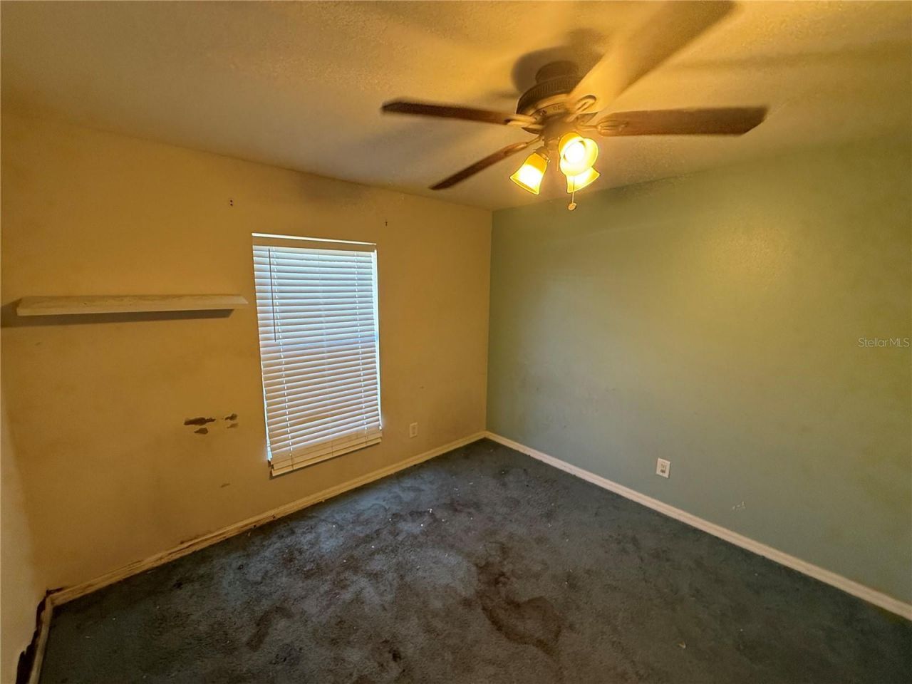 8429 Hunters Fork Loop , Ruskin, FL 33573 Photo