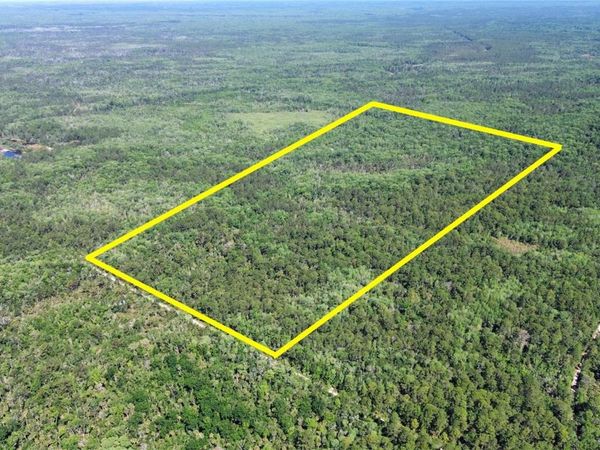 Tract 100 SW CR-347 , CHIEFLAND, FL 32644