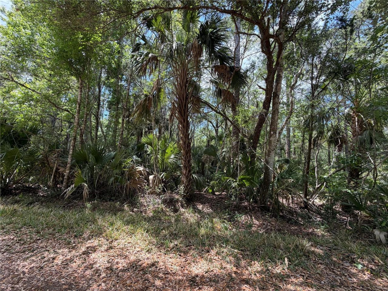 Tract 100 SW Cr-347 , Chiefland, FL 32644 Photo