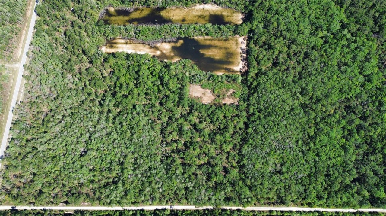 Tract 100 SW Cr-347 , Chiefland, FL 32644 Photo