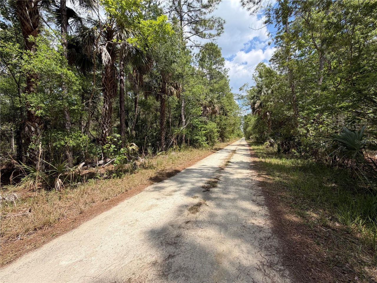 Tract 100 SW Cr-347 , Chiefland, FL 32644 Photo