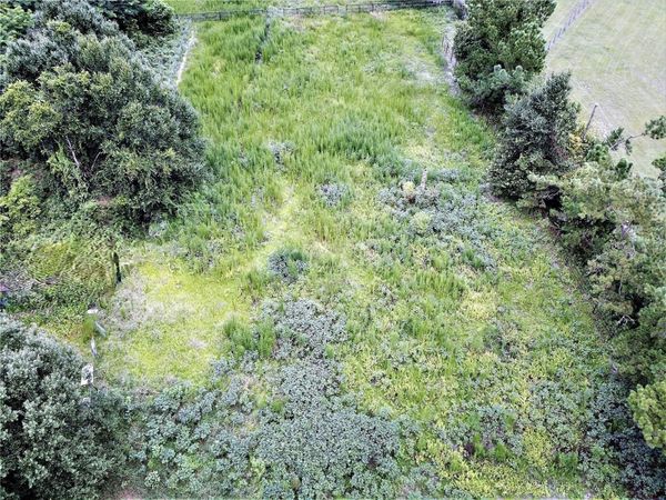 9856 PANGOLA LOOP , LAND O LAKES, FL 34639