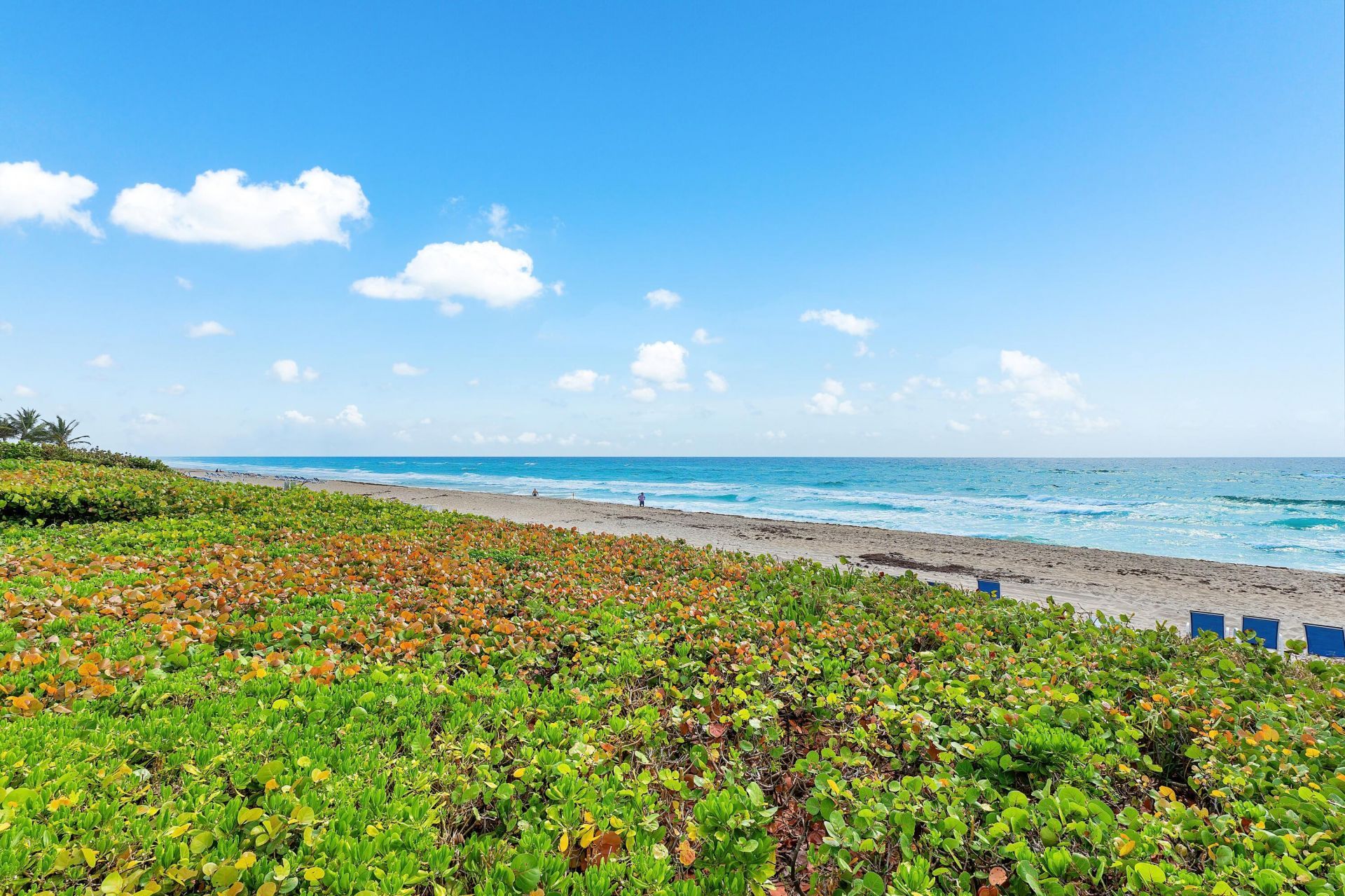 2909 S Ocean Boulevard, Unit 1b1, Highland Beach, FL 33487 Photo