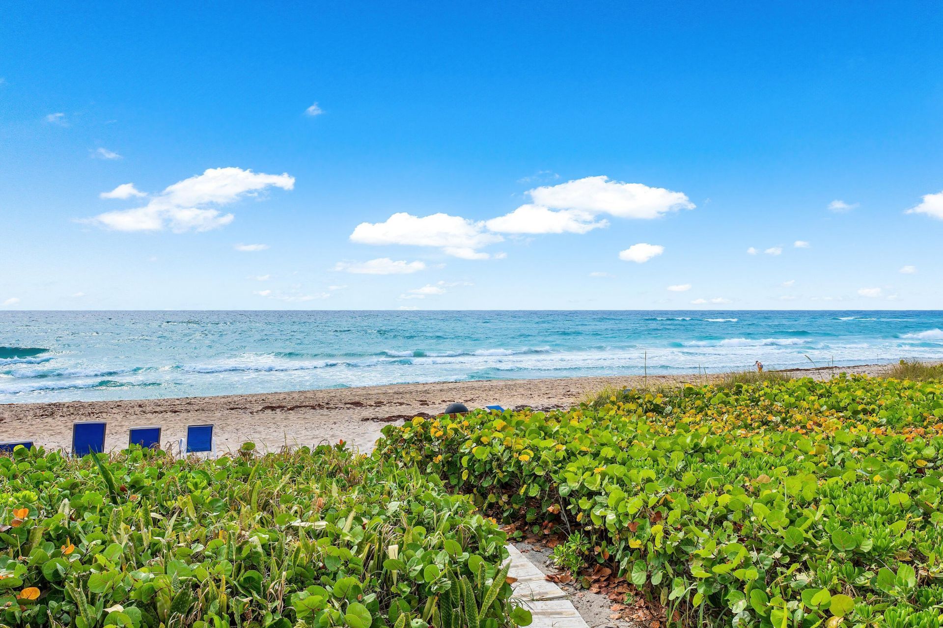 2909 S Ocean Boulevard, Unit 1b1, Highland Beach, FL 33487 Photo