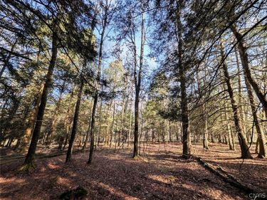2788 Williamson Road, Greenwood, NY 14839