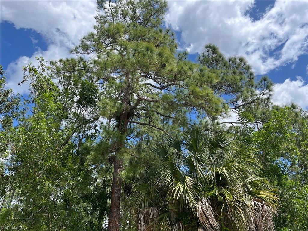 1920 Blue Sage Dr, Naples, FL 34117 Photo