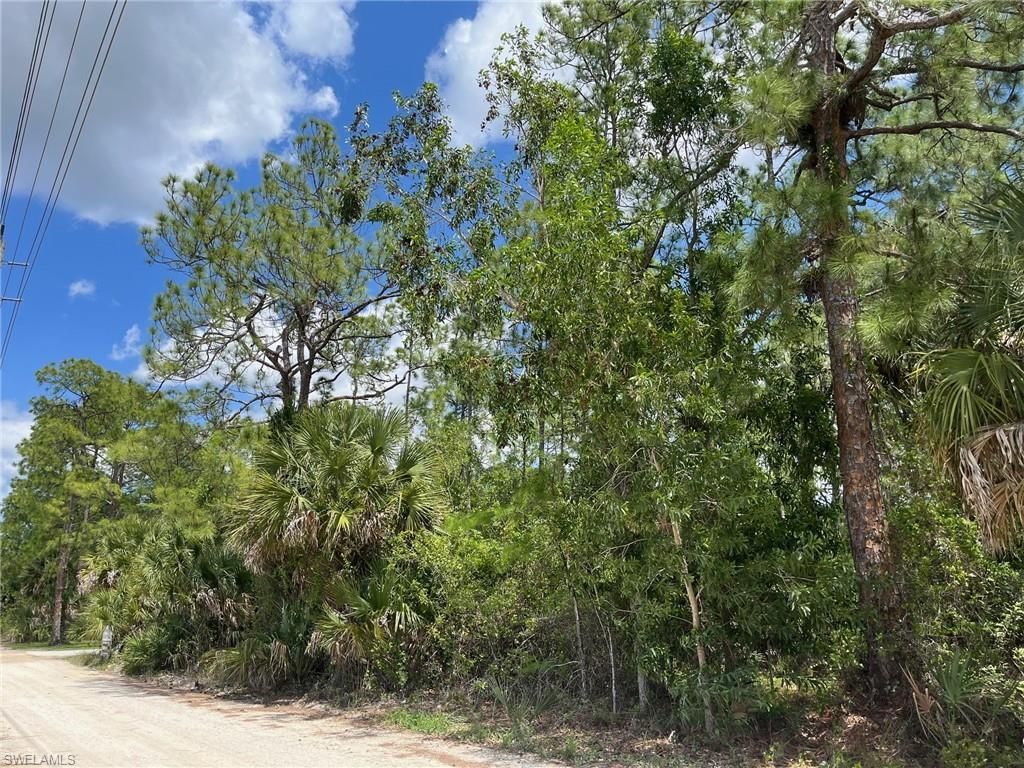 1920 Blue Sage Dr, Naples, FL 34117 Photo