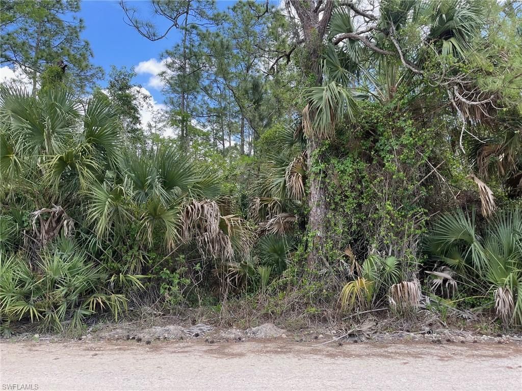 1920 Blue Sage Dr, Naples, FL 34117 Photo