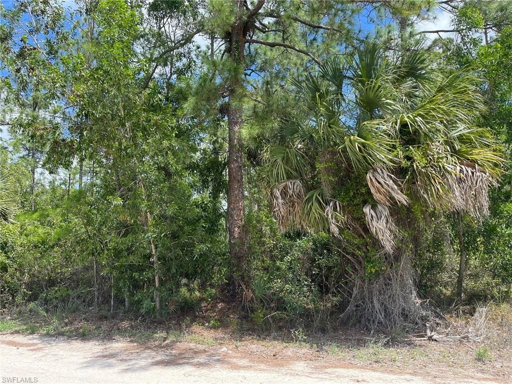1930 Blue Sage Dr, Naples, FL 34117 Photo