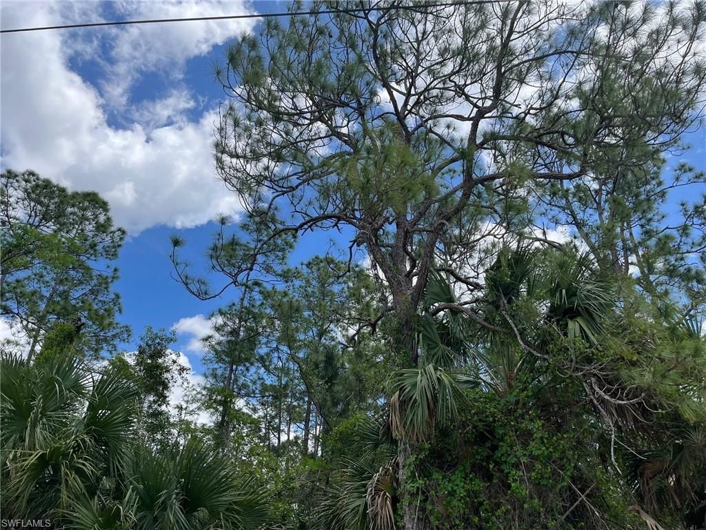 1930 Blue Sage Dr, Naples, FL 34117 Photo