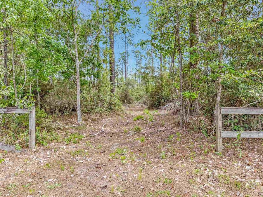 Property Image 61