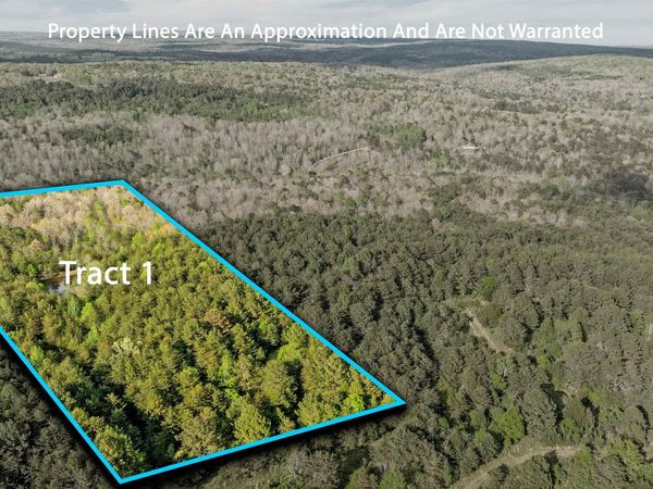 Tract 1 Road 9002, Mentone, AL 35984