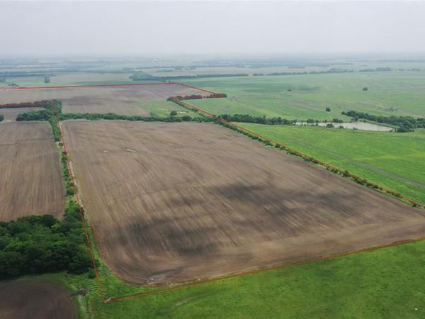 TBD Fm 64 , Pecan Gap, TX 75469