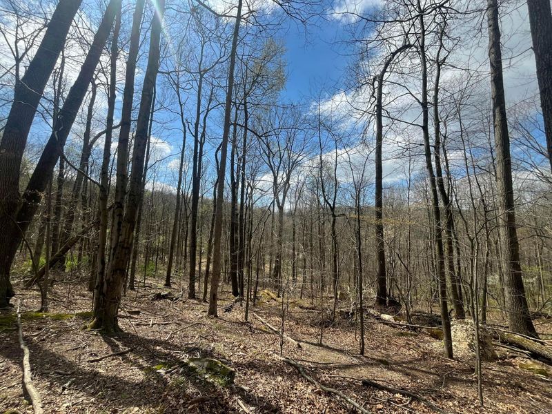 14040 Pinewood Trail Road NE, Newark, OH 43055 Photo 1