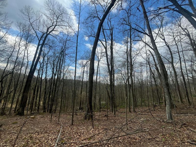 14040 Pinewood Trail Road NE, Newark, OH 43055 Photo 2