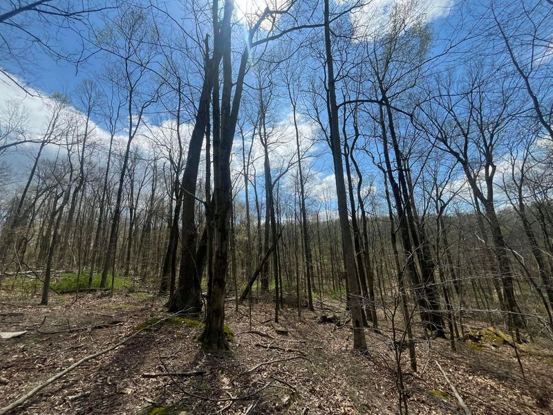 14040 Pinewood Trail Road NE, Newark, OH 43055 Photo 3