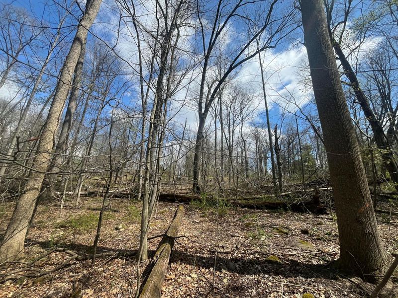 14040 Pinewood Trail Road NE, Newark, OH 43055 Photo 4