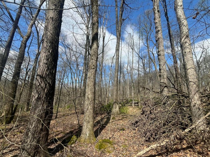 14040 Pinewood Trail Road NE, Newark, OH 43055 Photo 5