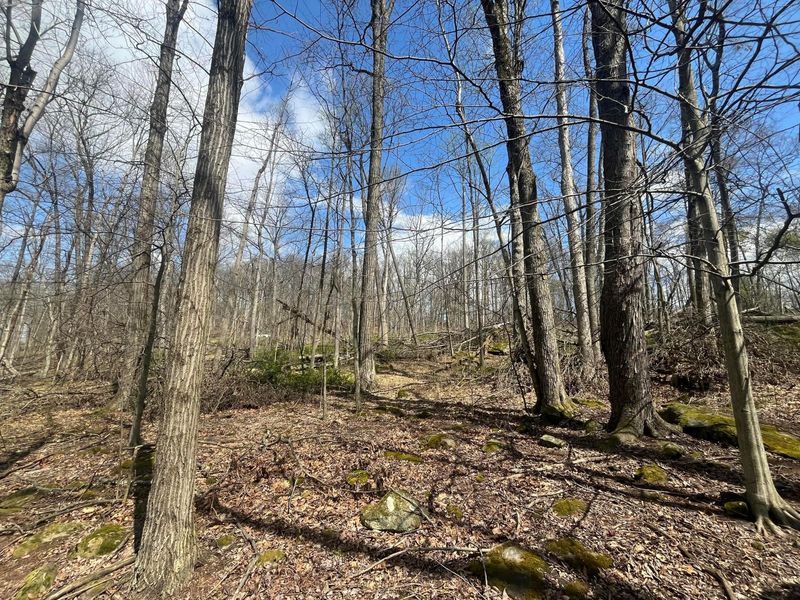 14040 Pinewood Trail Road NE, Newark, OH 43055 Photo 6