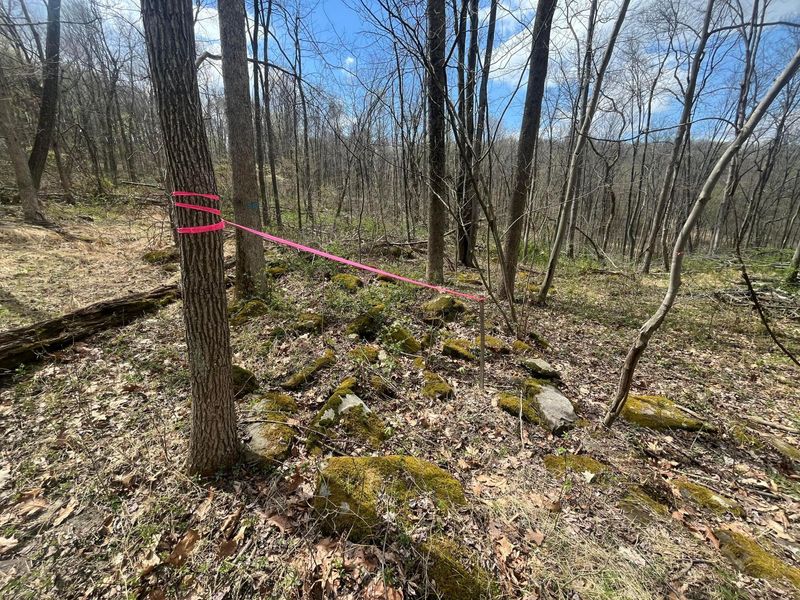 14040 Pinewood Trail Road NE, Newark, OH 43055 Photo 7