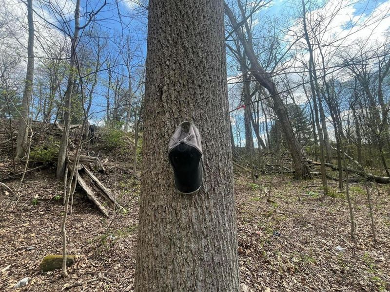 14040 Pinewood Trail Road NE, Newark, OH 43055 Photo 8