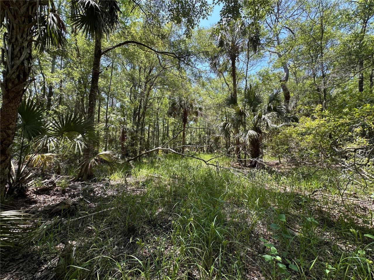 Tract 102 SW Cr-347 , Chiefland, FL 32644 Photo