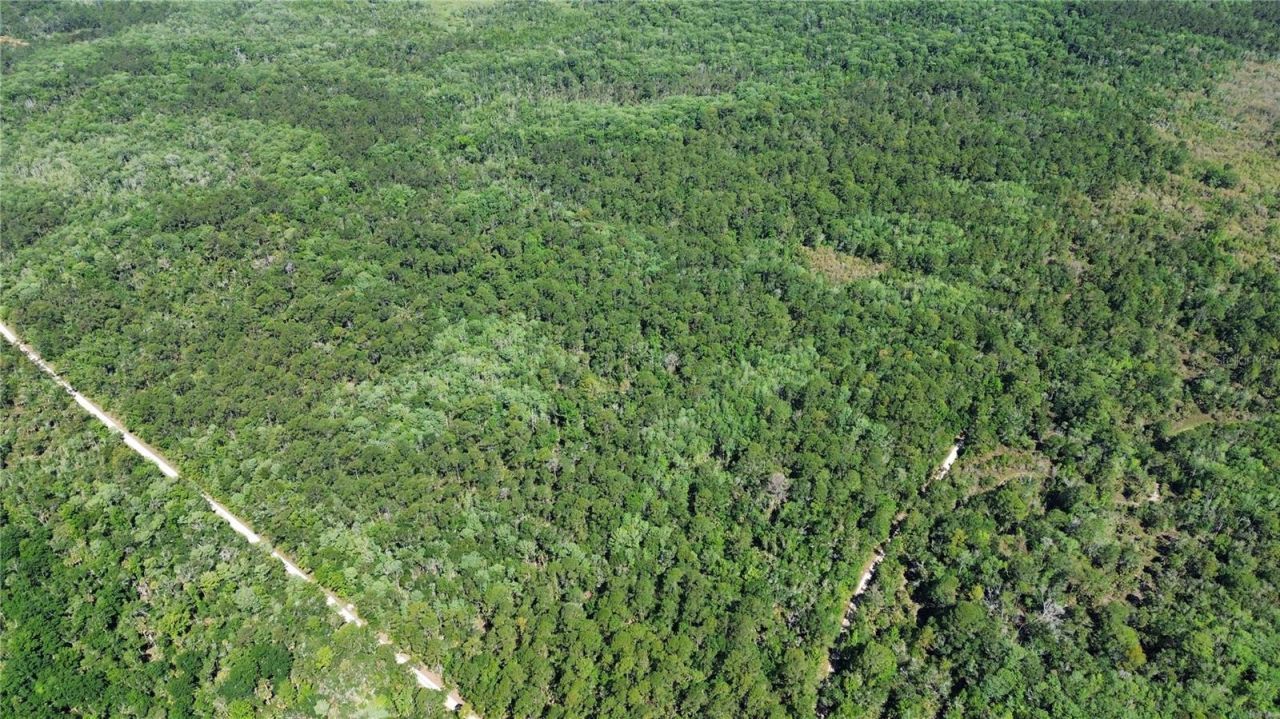 Tract 102 SW Cr-347 , Chiefland, FL 32644 Photo