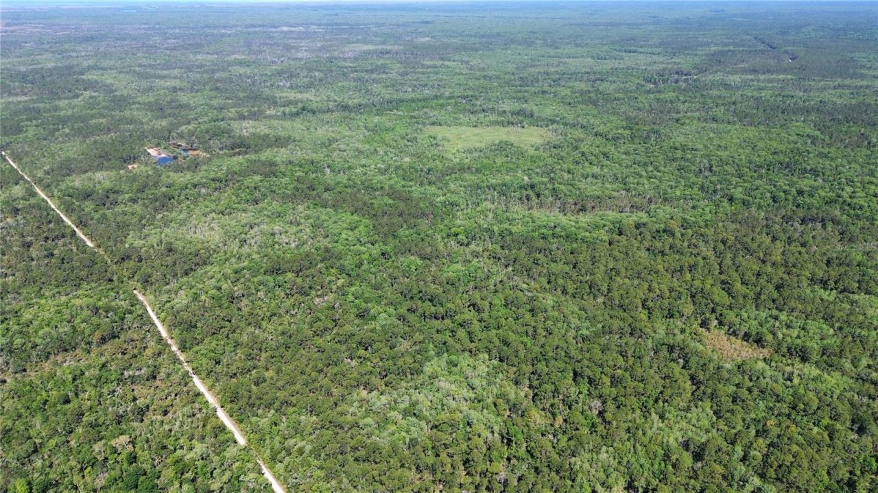 Tract 102 SW Cr-347 , Chiefland, FL 32644 Photo