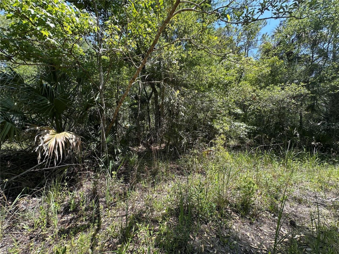 Tract 102 SW Cr-347 , Chiefland, FL 32644 Photo