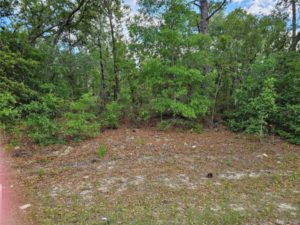 1681 W SKYLINE DRIVE , DUNNELLON, FL 34434