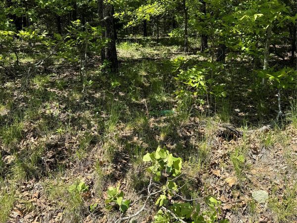 27 S 4532 Road , Vian, OK 74962