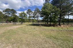 89 Schein Loop photo 4